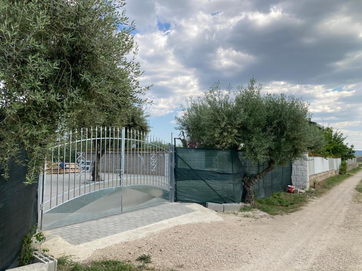 מטרה Villa Mater מראה חיצוני תמונה