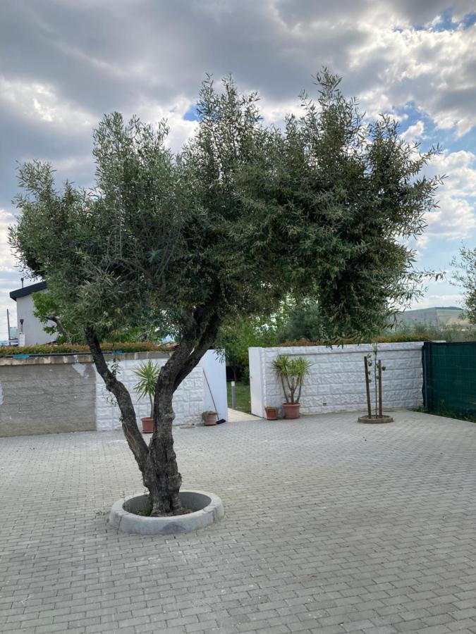 מטרה Villa Mater מראה חיצוני תמונה